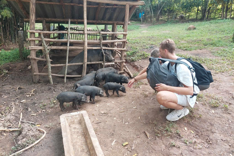 Chiang Mai: 3Days 2Night Trek in Doi Inthanon Area