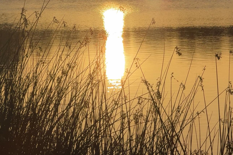 KAYAK UND PADEEL SUP, Ganztagespass für nautische Aktivitäten