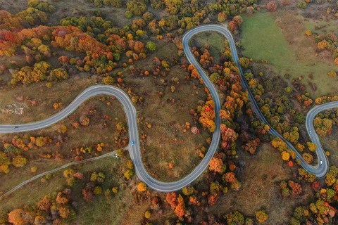 Kakheti Homeland of wine (Sighnaghi+Bodbe+Telavi)