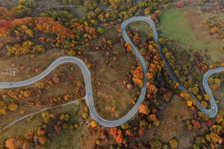 Kakheti Homeland of wine (Sighnaghi+Bodbe+Telavi)