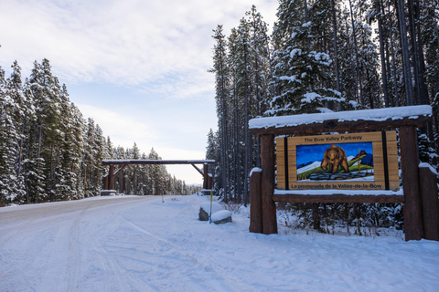 Z Calgary/Banff/Canmore: 1-dniowa wycieczka w Góry Skaliste z polem lodowym