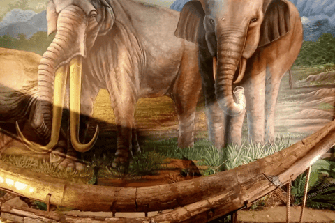 Surakarta : Full-Day Highlights Tour – All Inclusive Surakarta : Full-Day Highlights Tour - All Inclusive