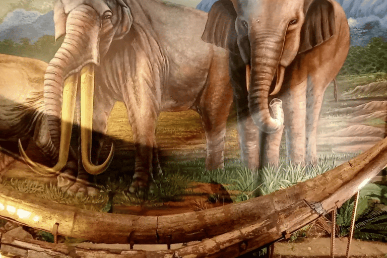 Surakarta : Full-Day Highlights Tour – All Inclusive Surakarta : Full-Day Highlights Tour - All Inclusive