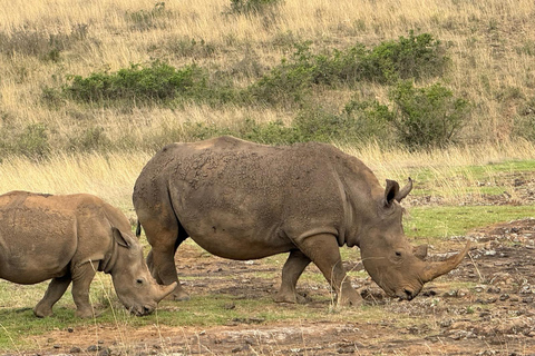 Tour di un giorno del Parco Nazionale di Nairobi e del Centro delle Giraffe