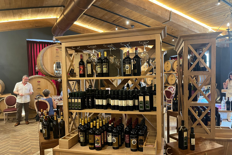 Florence: Pisa, Siena, & San Gimignano Day Trip with Lunch VIP SMALL GROUP