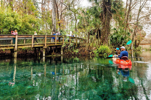 Orlando: Silver Springs Guided Kayak Tour with Shuttle