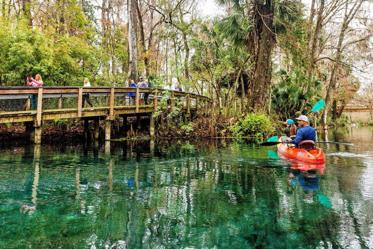 Orlando: Silver Springs Guided Kayak Tour with Shuttle