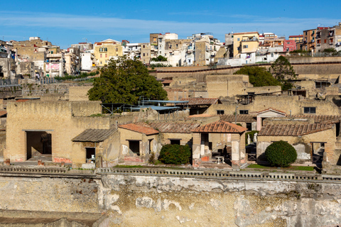 Naples/Salerno Port: Pompeii & Herculaneum - Optional lunch FROM NAPLES: Semi Private Group - NO LUNCH