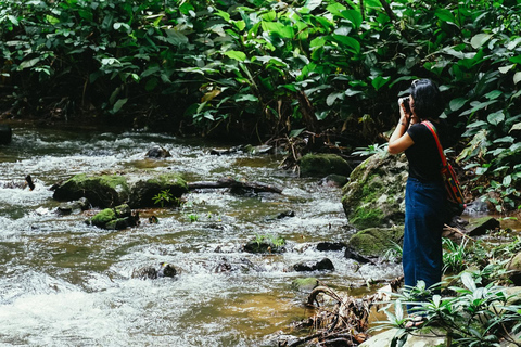 Trek at Doi Inthanon National Park &amp; Pha Dok Siew Trail Trek