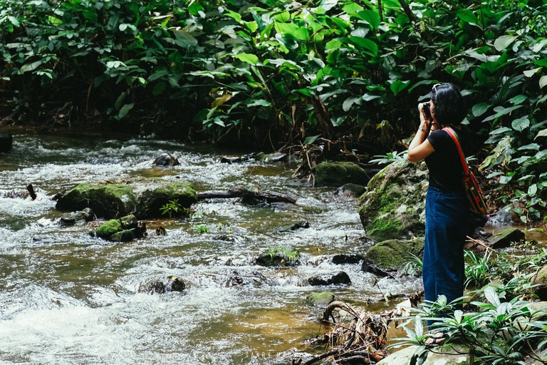 Trekking nel Parco Nazionale di Doi Inthanon e sentiero di Pha Dok Siew