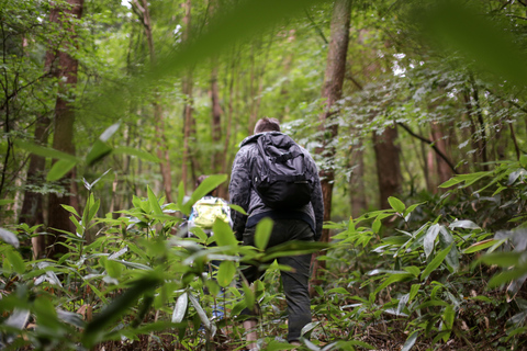 Hiroshima: Wanderung auf den Mt. Omine &amp; Panoramablick mit Kaffee