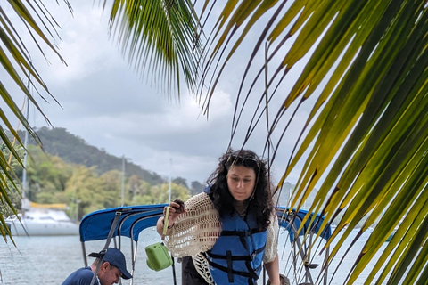 Panama: 1 night and 2-Days in a Caribbean Island Beach House Panama City:2-Days Portobelo and Caribbean Island Tour