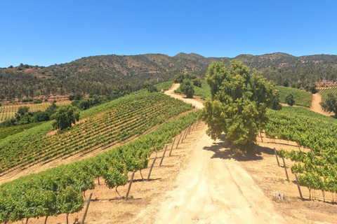 Curacaví Valley: Private Wine Tour of Viña Lopez Pangue and El Cuadro Curacaví Valley: Private Wine Route Tour - Viña Lopez Pangue and El Cuadro