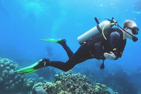 Buceo en la Isla Catalina: 2 botellas - 2 puntos