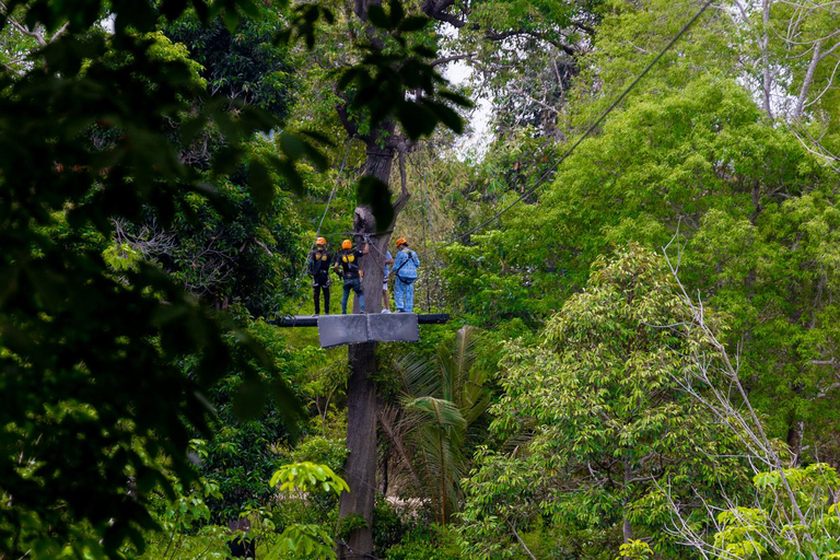 Phuket: Rainforest Eco Zipline Expedition 32 Platforms