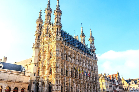 Leuven: Express Walk with a Local in 60 minutes 60 min - Walking Tour