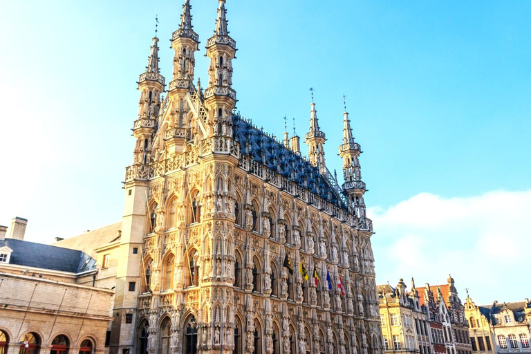 Leuven: Express Walk with a Local in 60 minutes 60 min - Private Tour