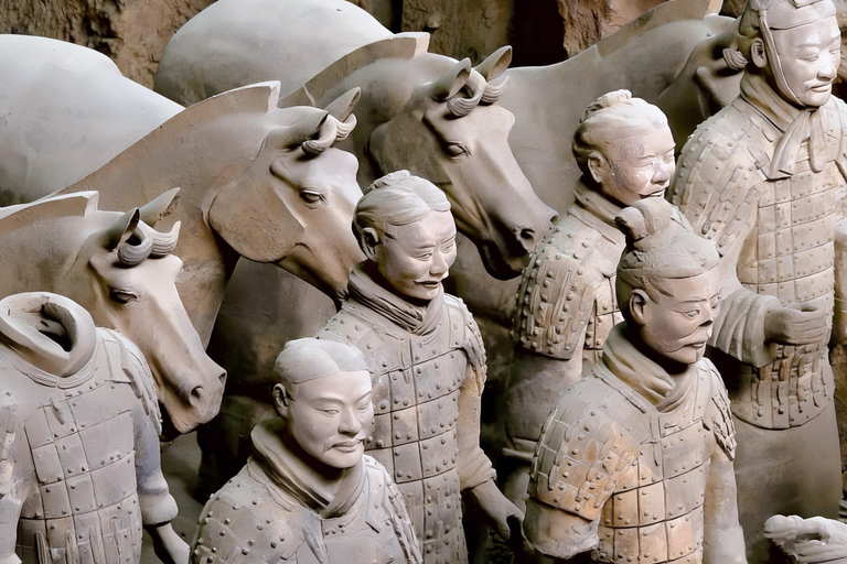Xi'an: Terracotta Army, City Wall, Pagoda & Family Lunch Private Guided Tour with Lunch and Pickup Anywhere in Xi'an