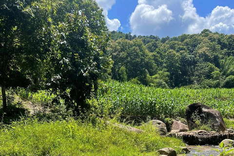 Chiang Rai: Lahu Village Trek, Waterfall & Hot Springs