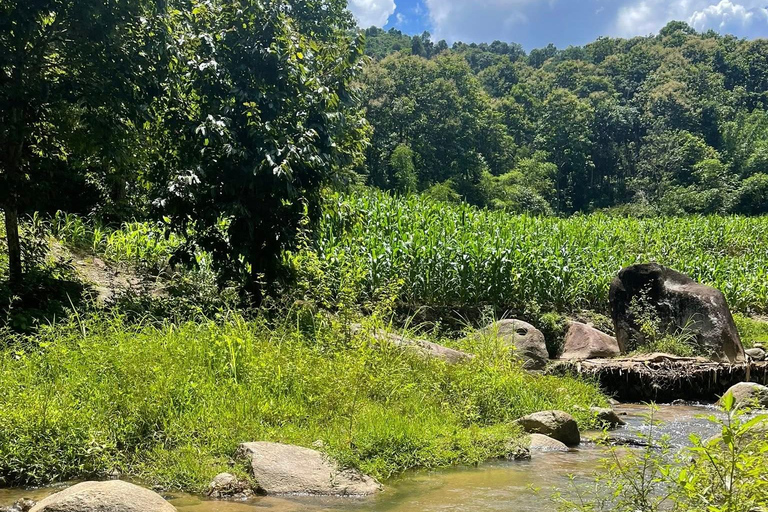 Chiang Rai: Lahu Village Trek, Waterfall & Hot Springs