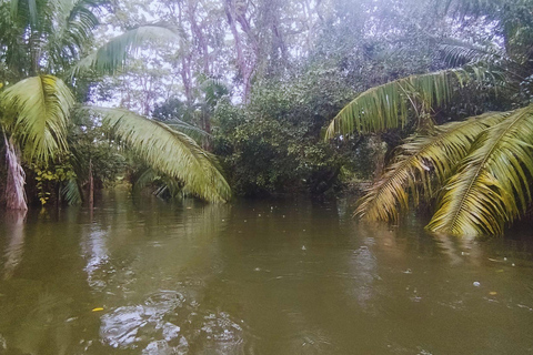 Private Kayaking Adventure: a 2-hour Wildlife Escape Self-Guided Kayaking Adventure: a 2-hour Wildlife Escape