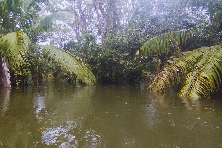 Private Kayaking Adventure: a 2-hour Wildlife Escape Self-Guided Kayaking Adventure: a 2-hour Wildlife Escape