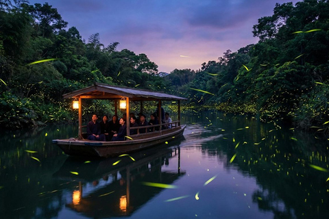 From Kuala Lumpur: Kuala Selangor Firefly Cruise & Dinner