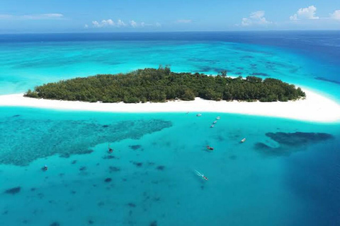 Zanzibar:Mnemba Dolphin Spotting+Aquarium+ Kendwa Beach Escp