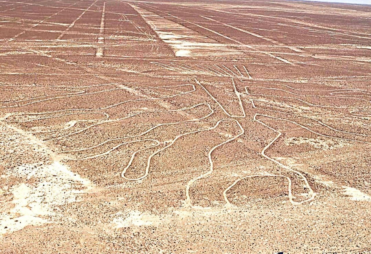 Von Oasis Huacachina: Flug über die Nazca-Linien – Bus nach Lima