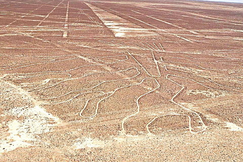 From Huacachina Oasis: Flight over the Nazca Lines – Bus to Lima From Oasis Huacachina: Fly over the Nazca Lines - Bus to Lima