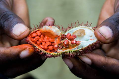 Zanzibar : cours de cuisine, visite des épices, visite de l'île des prisonniers