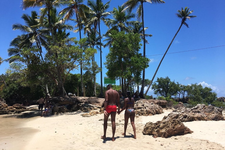 Excursion d&#039;une journée sur l&#039;île de Morro de São PauloParler portugais