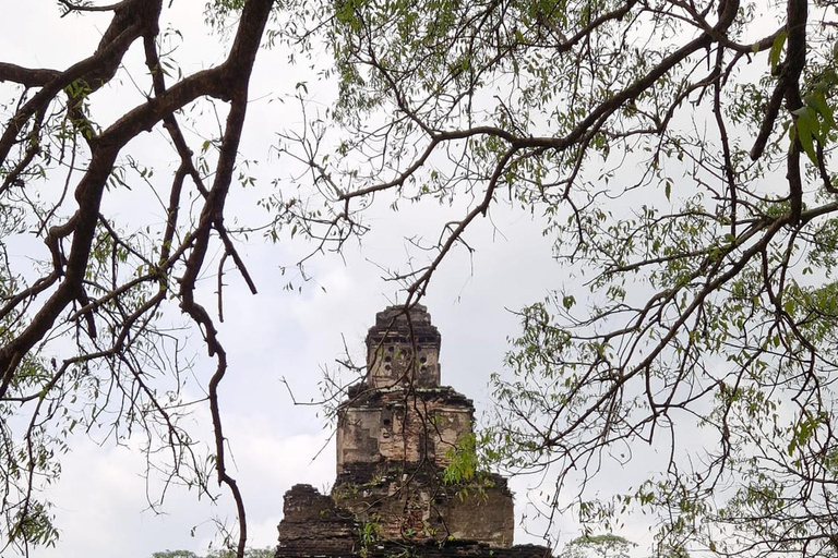 Polonnaruwa Day Trip with Lunch and Hotel Pickup