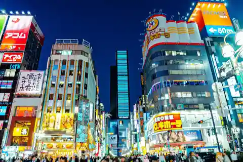 Tóquio Shinjuku: Excursão a pé particular a Shinjuku