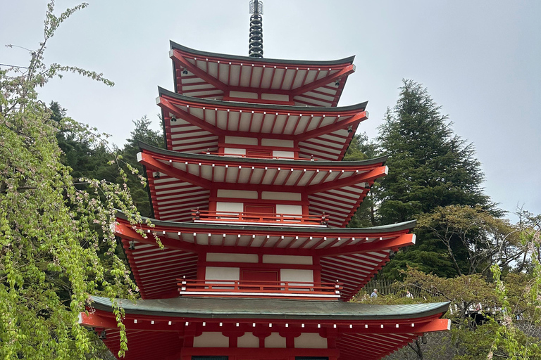 From Tokyo: Mount Fuji Full Day Customizable Private Tour LUXURY LAND CRUISER