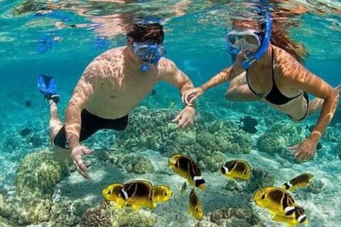 From Punta Cana: Catalina Island Snorkeling & Beach