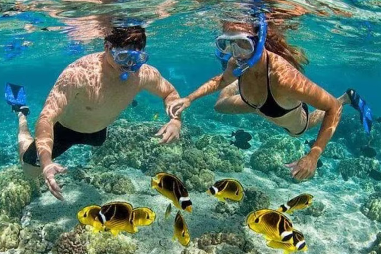 From Punta Cana: Catalina Island Snorkeling & Beach