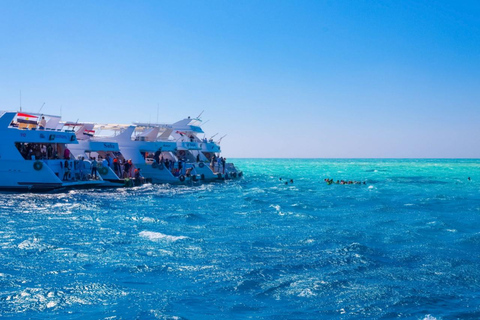 From Sharm: Ras Mohamed, White Island Snorkel & Dive & Lunch 1 Intro Dive Option Beginners & Professional
