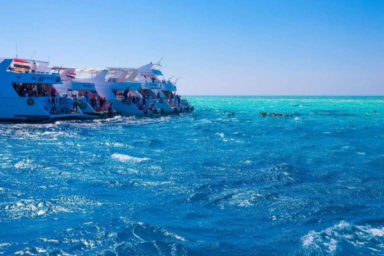 From Sharm: Ras Mohamed, White Island Snorkel & Dive & Lunch 1 Intro Dive Option Beginners & Professional