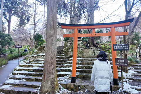 Kyoto: Arashiyama, Sanzen-in & Kifune Shrine Day Trip Departure from Osaka (Basic Package)