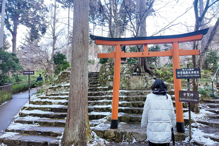 Kyoto: Arashiyama, Sanzen-in & Kifune Shrine Day Trip Departure from Osaka (Basic Package)