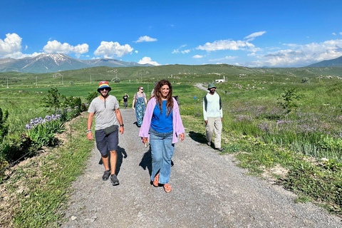 From Yerevan: Tatev, Noravank & Shaki Waterfall Day Trip Group Tour in English Speaking Guide