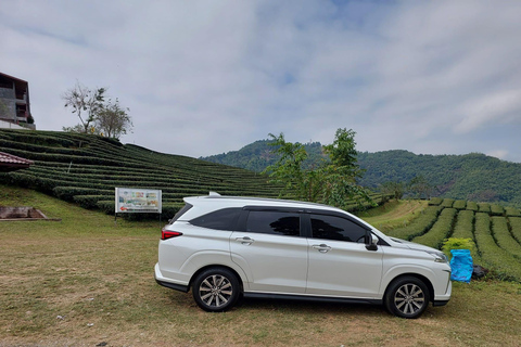 Chiang Rai: Mountains Discovery Doi Mae Salong & Doi Tung Mountains Discovery:Doi Mae Salong & Doi Tung (Private Tour)