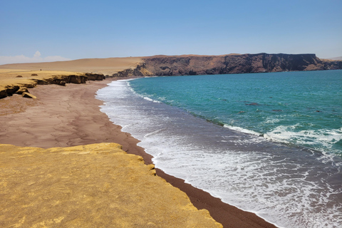 Ica: Full day to the Ballestas Islands and the Paracas National Reserve Ica: Full Day to the Ballestas Islands and Paracas National Reserve