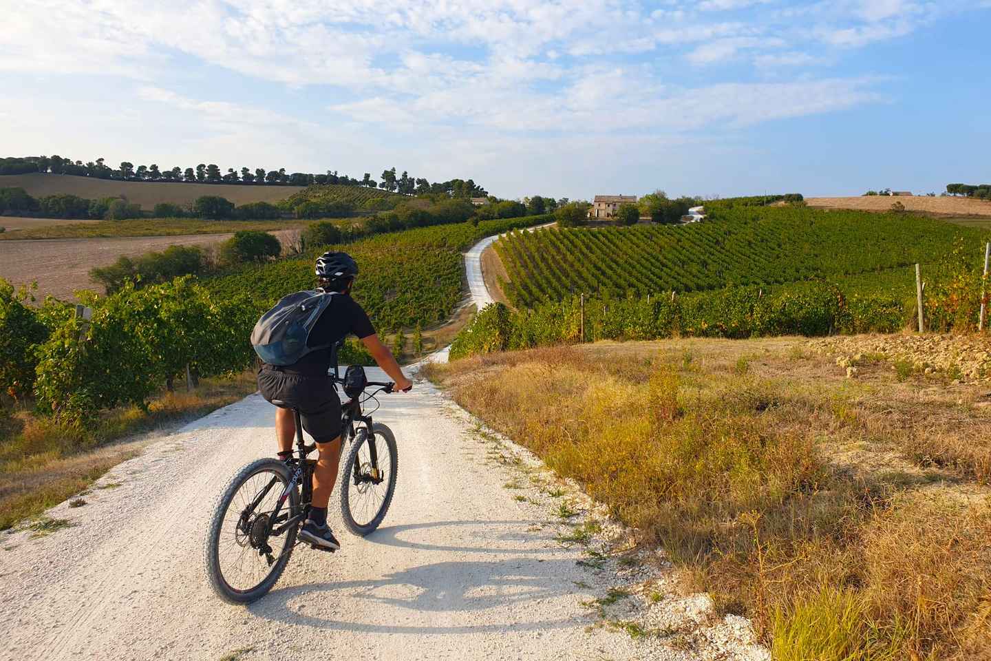 Recanati: scopri i colli dell'infinito in E-Bike