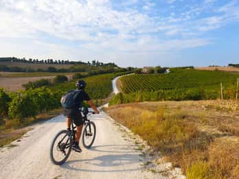 Recanati: discover the hills of infinity by E-Bike