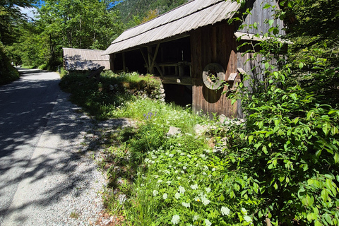 Bled: E-Bike Tour to Peričnik Waterfall with Lake Kreda