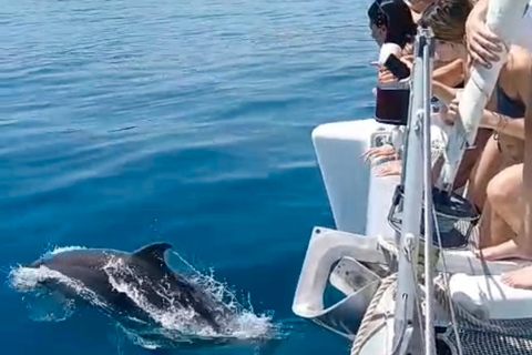 Benalmádena: Sailing & Dolphin Watching with Snacks/Drinks 2-hour PRIVATE up to 12 people
