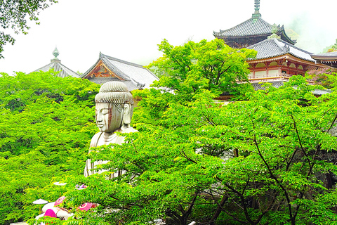 Nara: descubra un gigantesco Buda de piedra en las colinas boscosasNara: descubre un gigantesco Buda de piedra en las colinas boscosas