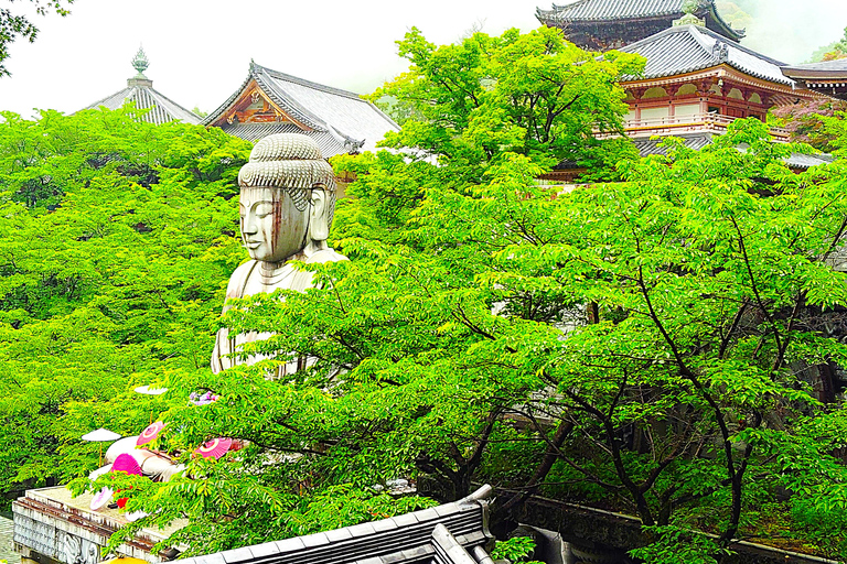 Nara: descubra un gigantesco Buda de piedra en las colinas boscosasNara: descubre un gigantesco Buda de piedra en las colinas boscosas